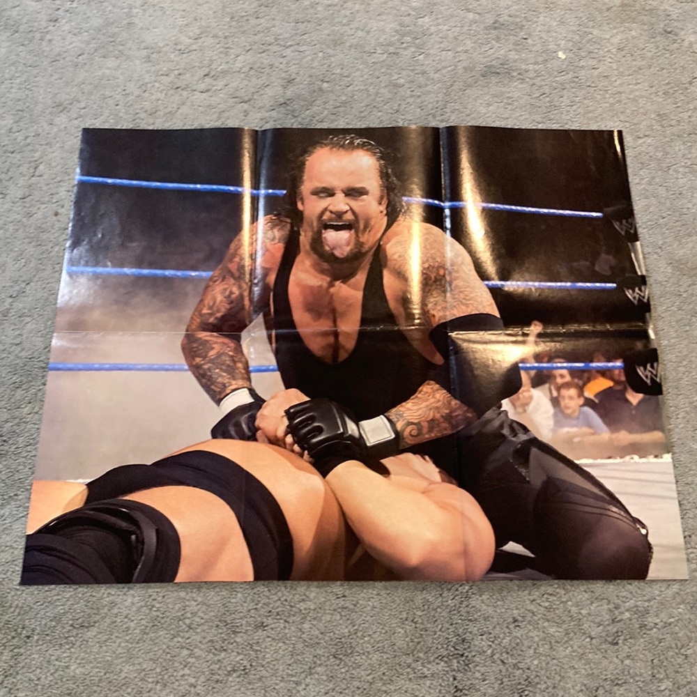 Wwe the undertaker poster